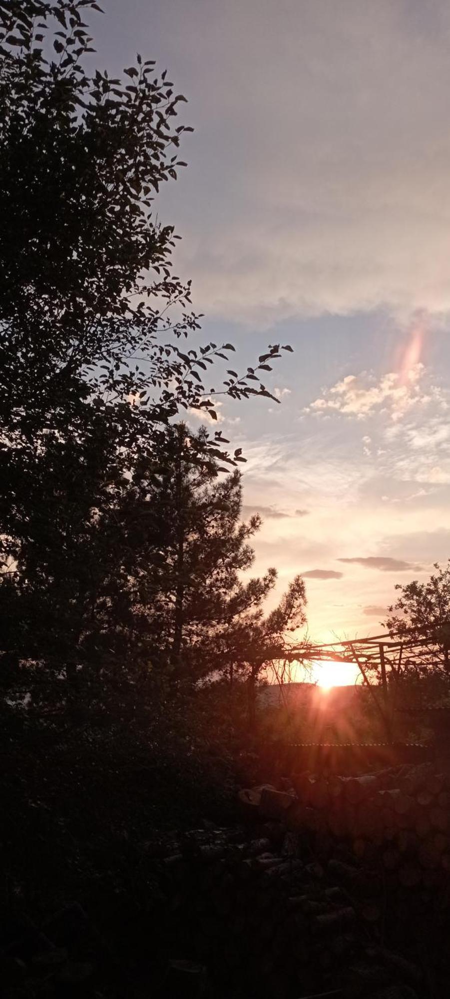 Gamila Sunrise * Konitsa